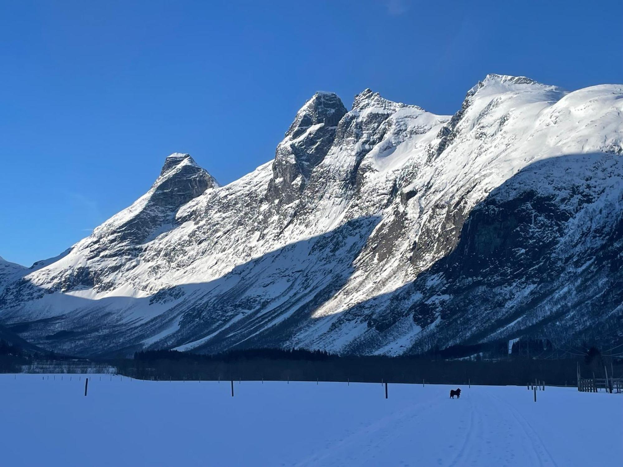 Apartment In The Heart Of Åndalsnes Exteriör bild